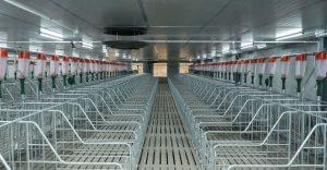 Filter press treatment of wastewater from aquaculture enterprises